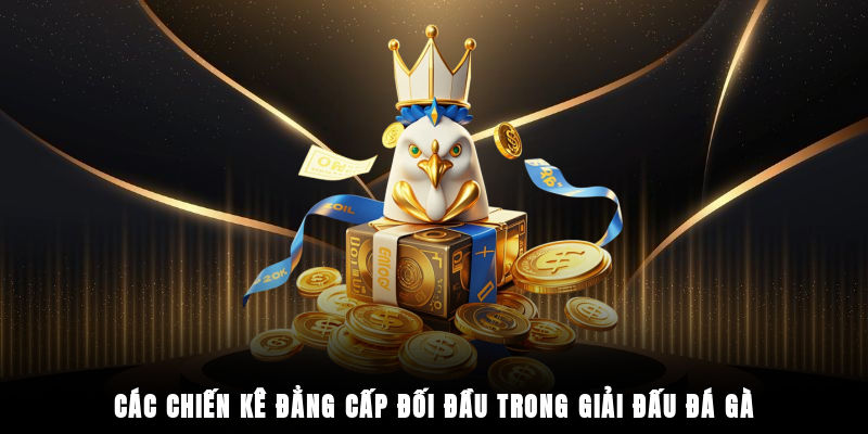 Các chiến kê đẳng cấp đối đầu trong giải đấu đá gà