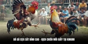 Đá Gà Cựa Sắt