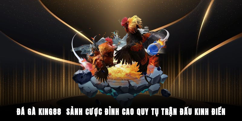 Đá Gà King88