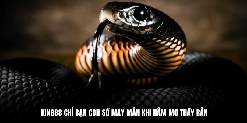 King88 chỉ bạn con số may mắn khi nằm mơ thấy rắn