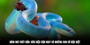 nằm mơ thấy rắn