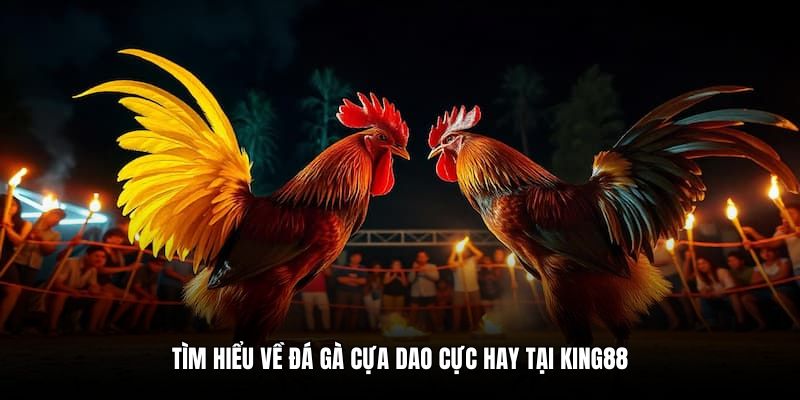 Tìm hiểu về đá gà cựa dao cực hay tại King88