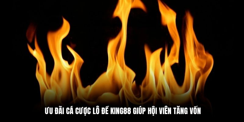 Ưu đãi cá cược lô đề King88 giúp hội viên tăng vốn